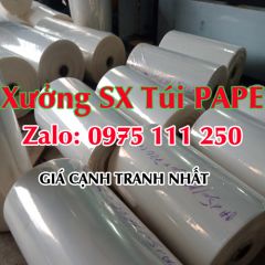 Xưởng Sản Xuất Túi PAPE Giá Rẻ